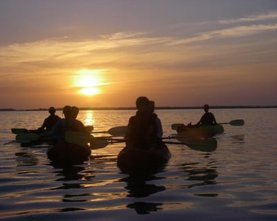 Haulover Canal Sunset Kayak & Wildlife Tour