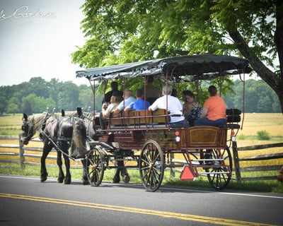 Explore Gettysburg Battlefield on a 2-Hour Carriage Tour