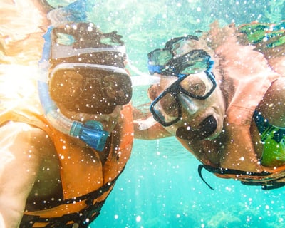 3-Hour Afternoon Snorkel Cruise in Key West