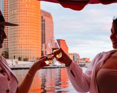Pink Electric Sunset Cruise in Tampa