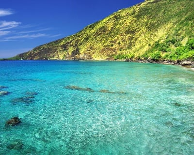 Kealakekua Bay and Captain Cook Snorkeling Adventure