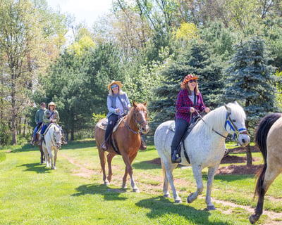 Guided Horseback Trail Ride in Elizabethtown