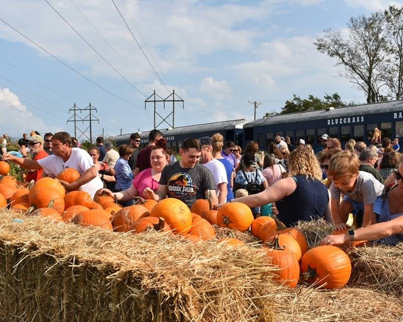 Vintage Pumpkin Patch Train Ride in Versailles, KY