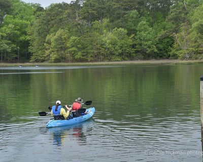 Private Kayak Nature and Dolphin Tour