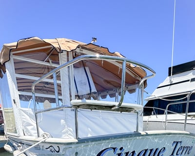 Sausalito Duffy Electric Boat Rental