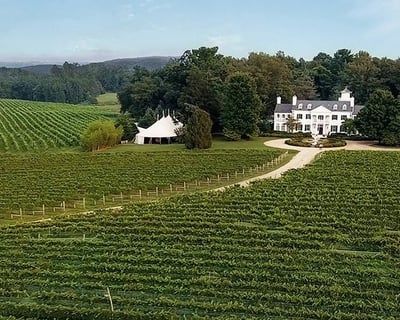 Private 1.5-Hour Horseback Ride in Keswick Vineyards