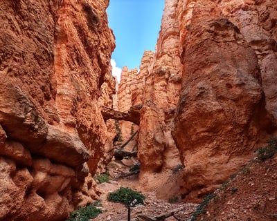 Private Guided Hiking Tour in Bryce Canyon National Park