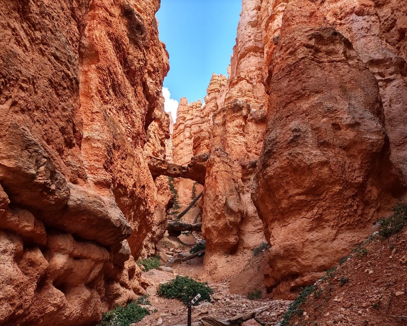 Private Guided Hiking Tour in Bryce Canyon National Park