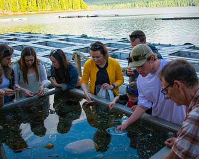 Tour A Ketchikan Oyster Farm & Taste Fresh Oysters