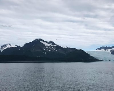 Seward to Northwestern Fjord Round-Trip Water Taxi