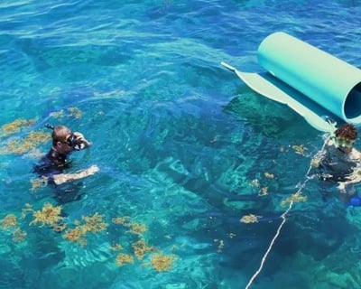 Key West Private Reef Snorkeling Charter