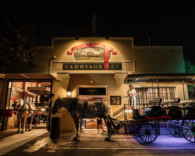 Ride A Haunted Carriage & Cruise Charleston Harbor