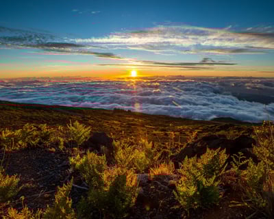 Haleakala Summit & Stroll