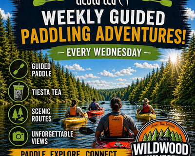 Guided Kayak, Paddleboard & Canoe Trip in Eagle River