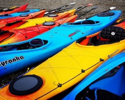 2-Hour Kayak & Paddleboard Rentals in Brinnon