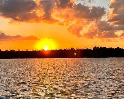 Cruise Ten Thousand Islands Sunset & Beach Charter