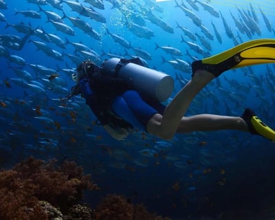 Ft. Lauderdale Wrecks and Reefs Scuba Dive Trip