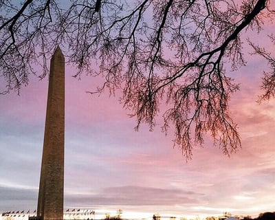 DC National Mall Walking Tour & Monument Ticket