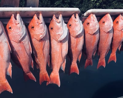 Private Offshore Fishing Charter in Sarasota