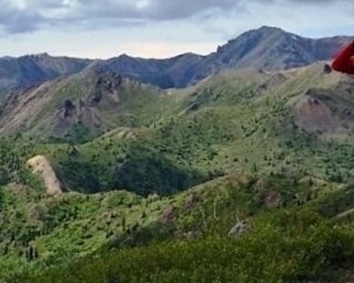 Guided 4-Hour Backcountry Hike in Denali National Park