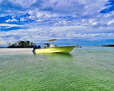 3- or 4-Hour Private Boat Charter in St. Petersburg
