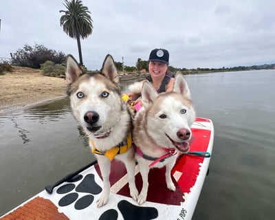 Private Paddleboarding Lessons With Your Dog in San Diego