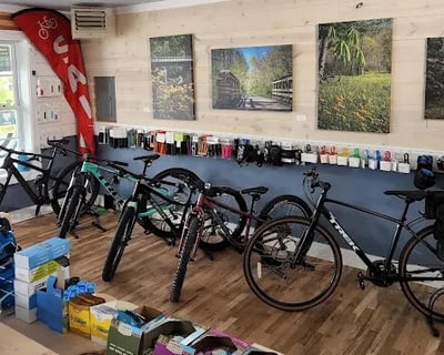 Full-Day Bike Rental in Marlinton