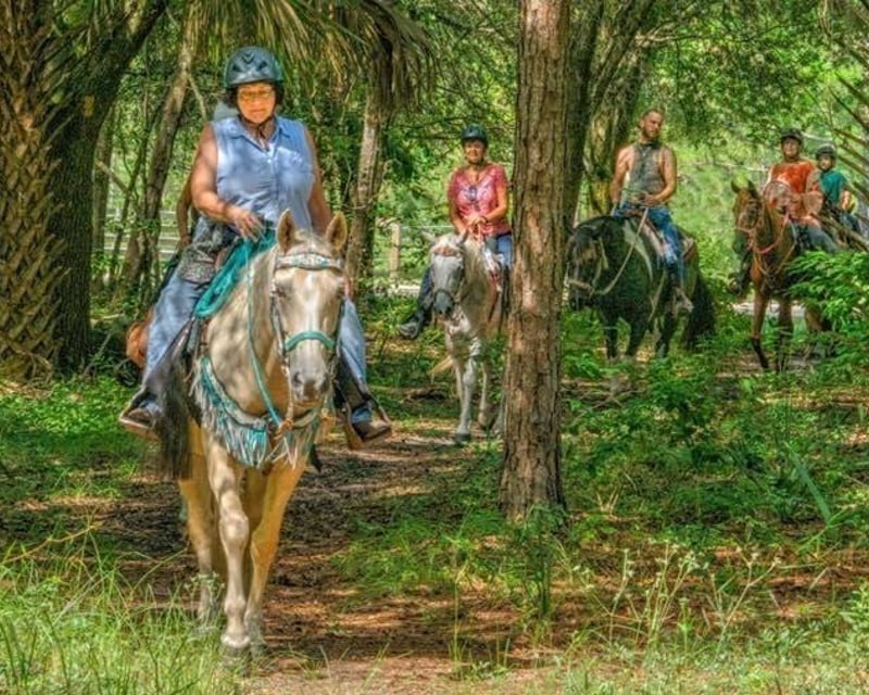 Wildlife Preserve Horseback Ride in Lake Panasoffkee, FL