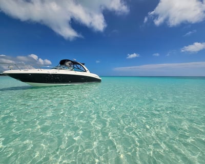 Private Sandbar Charter in Key West