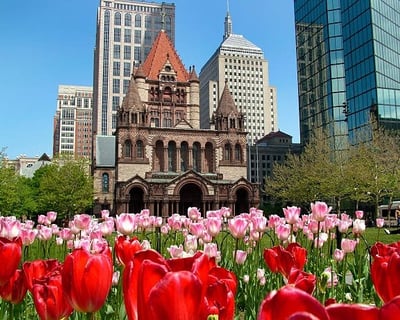 All Day Boston Experience