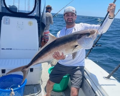 Full-Day Bluewater Deep Sea Safari