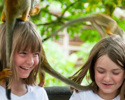 Monkeyland Samaná Squirrel Monkey Guided Tour