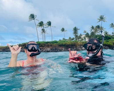 Olowalu Snorkel Tour in Lahaina