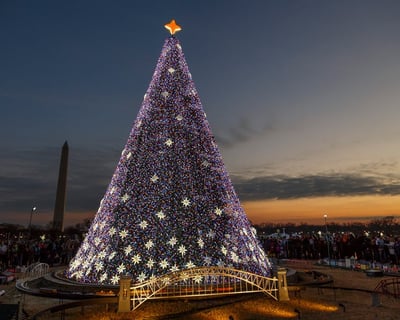 Washington DC Christmas Lights Guided Tour