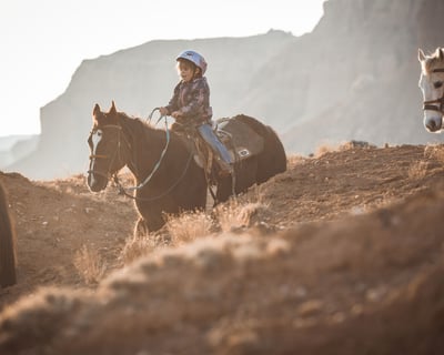 1-Hour Guided Horseback Ride Near Capitol Reef