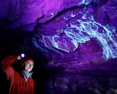 Blacklight Cave Tour of Lincoln Caverns
