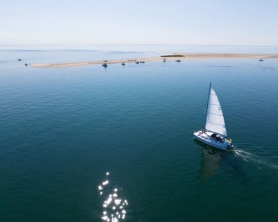 3-Hour Morning Cruise in Wellfleet Harbor