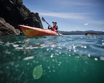 Port Orford Ocean Wildlife Viewing Kayak Tour