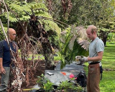 Māmaki Forest Farm Tour in Volcano