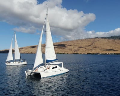 Full-Day Snorkel and Sail on Monohull Nova