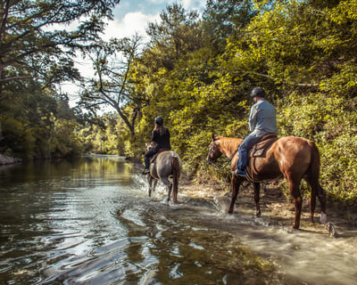 Austin Guided Horseback Riding Lesson