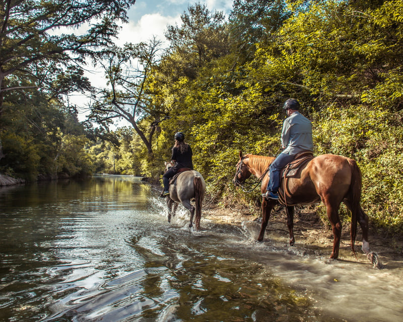 Austin Guided Horseback Riding Lesson