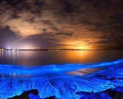 Vieques Bioluminescent Bay Private Charter