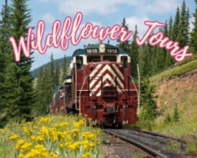 Ride a 3-Hour Wildflower Train Tour in Leadville