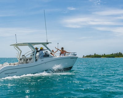 4-Hour Fajardo Island Snorkeling Charter