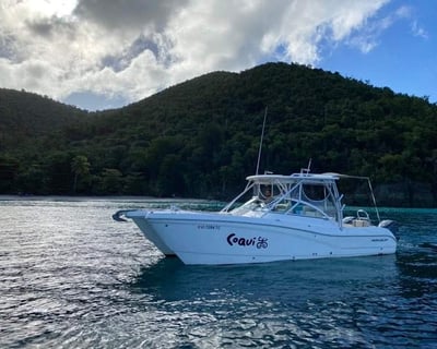 Custom 4-Hour Morning Charter in St. John