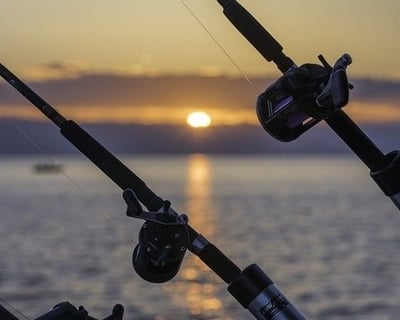 Afternoon Deep Sea Fishing Charter in Gulf Breeze