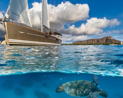 Waikiki Snorkeling Cruise with Sea Turtles