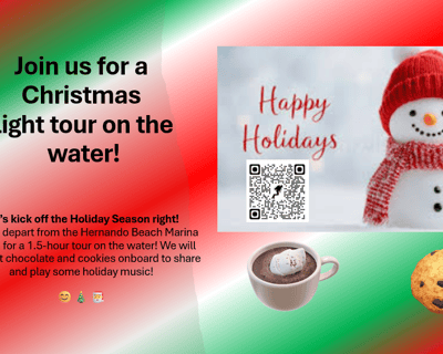 Christmas Light Tour in Hernando Beach