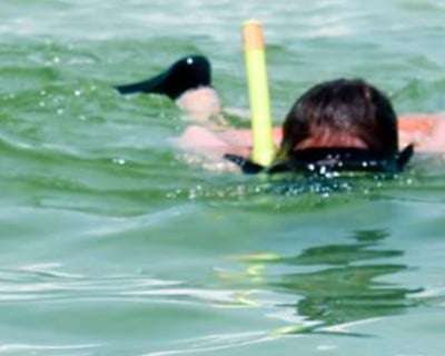 Shell Island Snorkeling with Round-Trip Shuttle